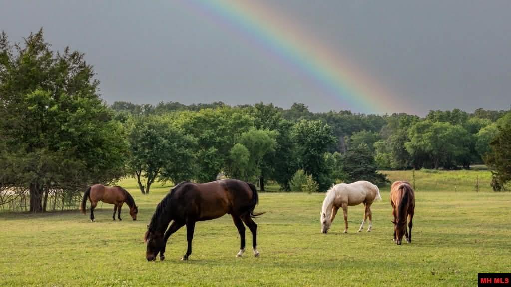 Lot 11 Canvasback Court