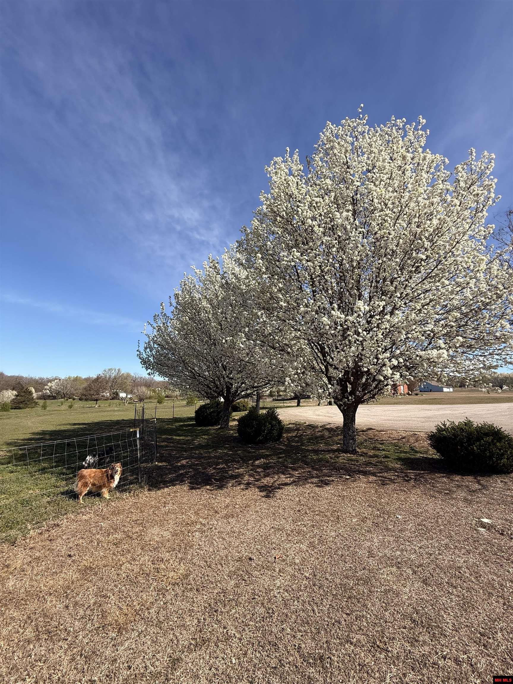 Lot 11 Canvasback Court