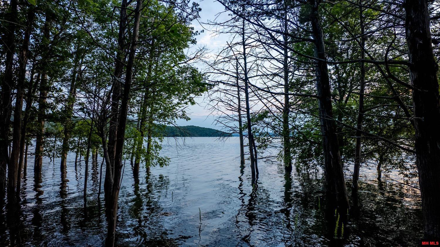 499 NOE CREEK ROAD Mountain Home, AR 72653