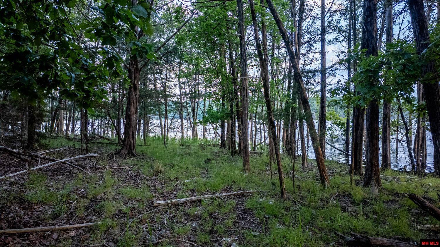 499 NOE CREEK ROAD Mountain Home, AR 72653