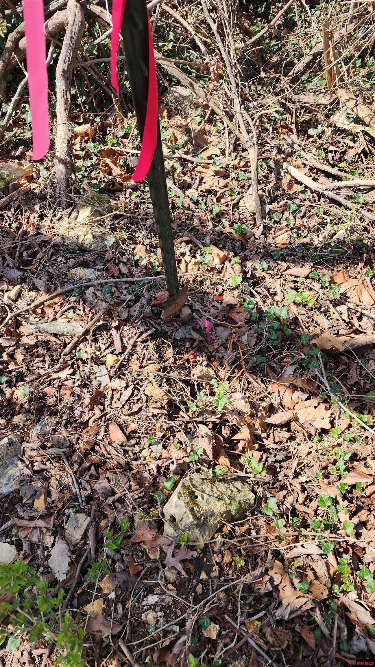 Tract A C S Woods Boulevard