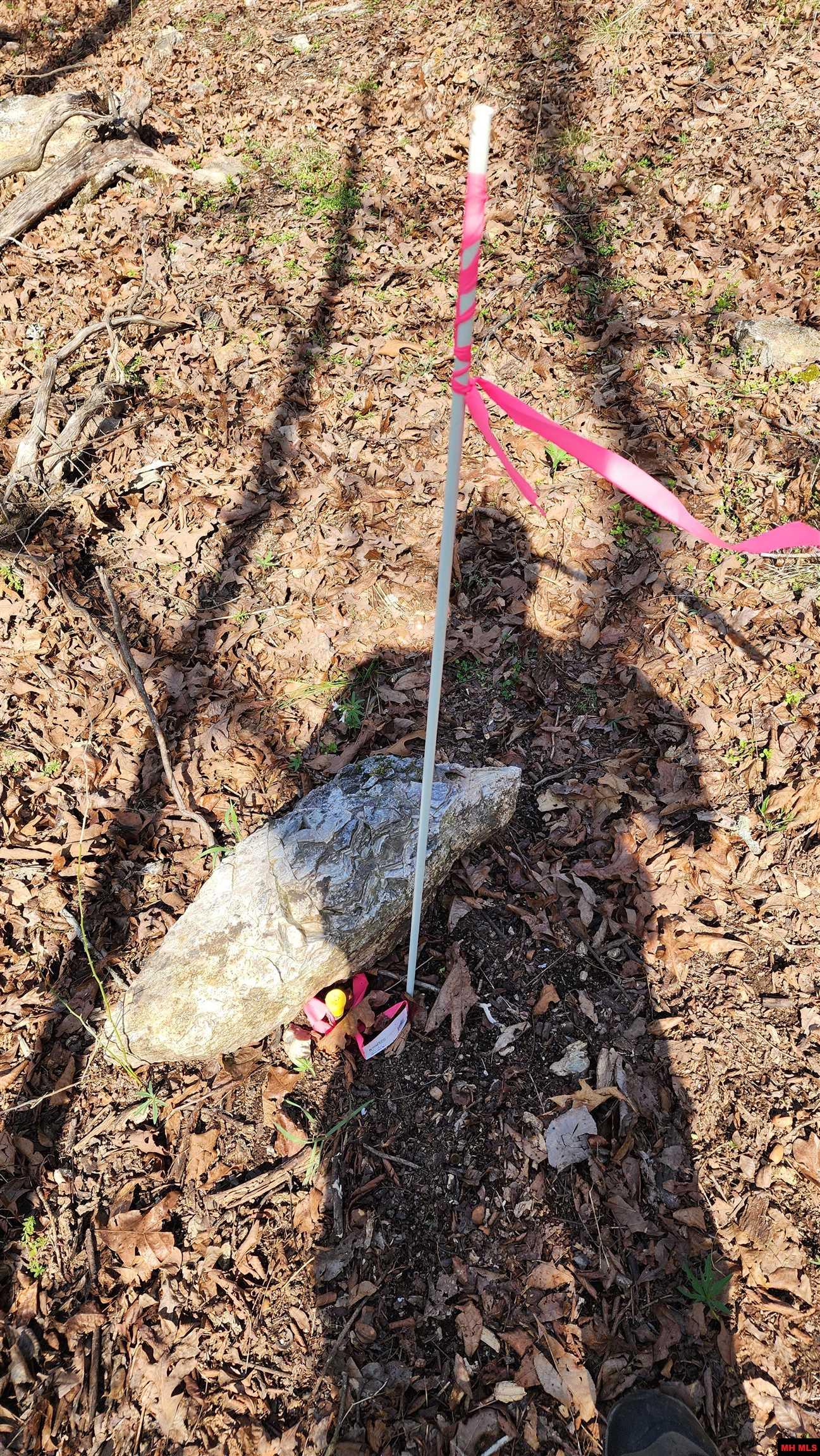 Tract A C S Woods Boulevard