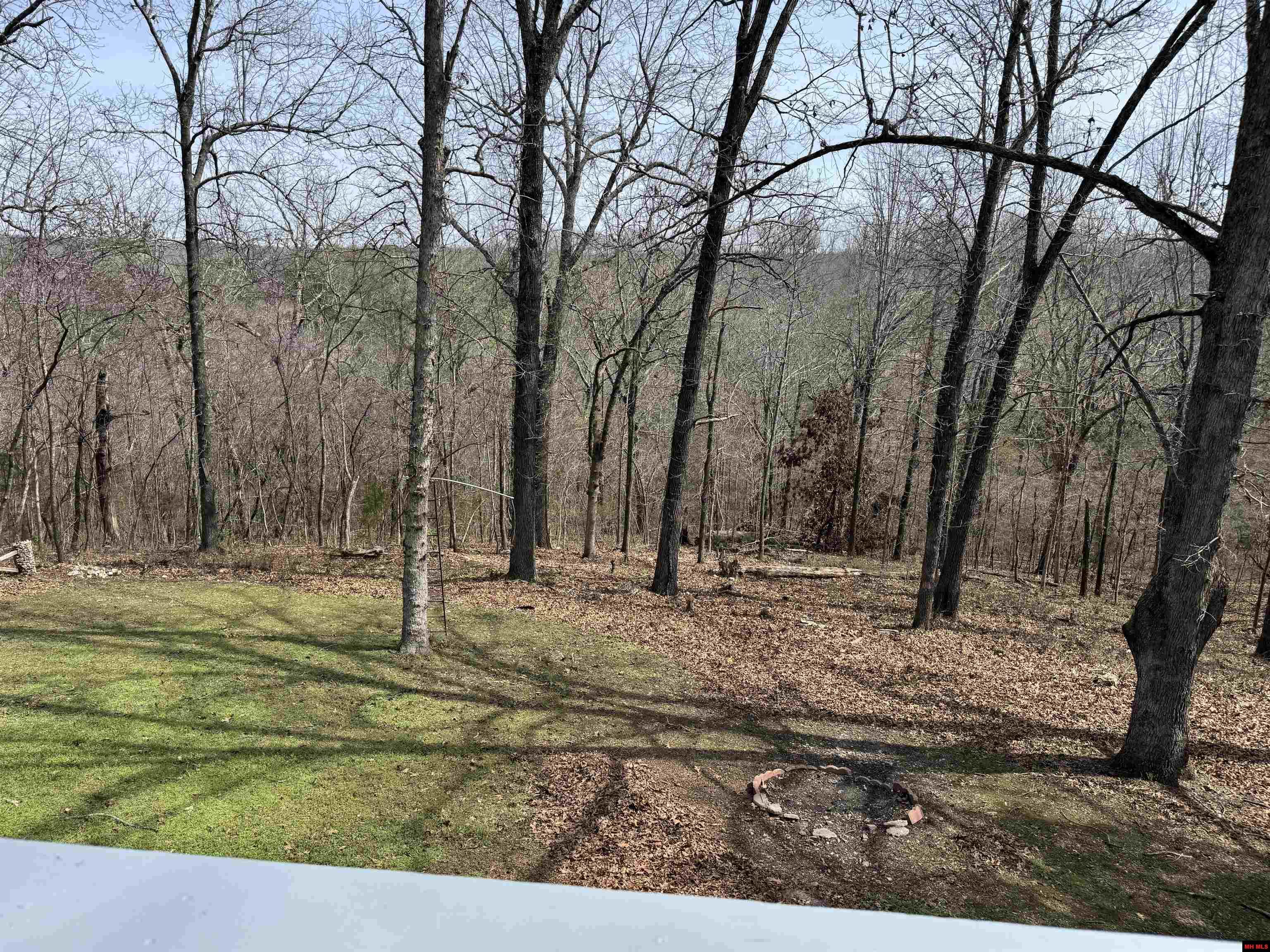 153 Cripple Creek Drive