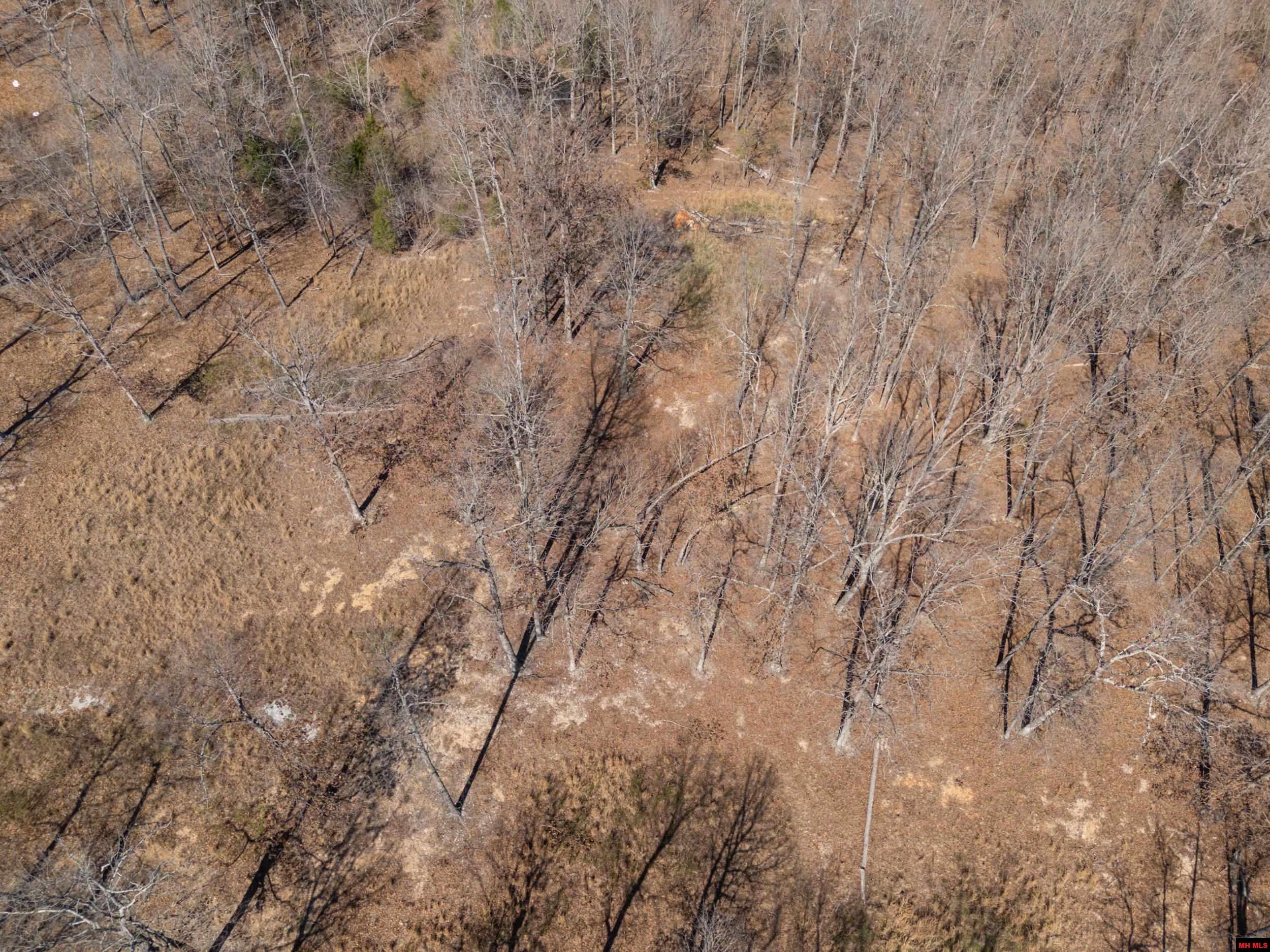 Lot 44 & 45 Hwy 62 East