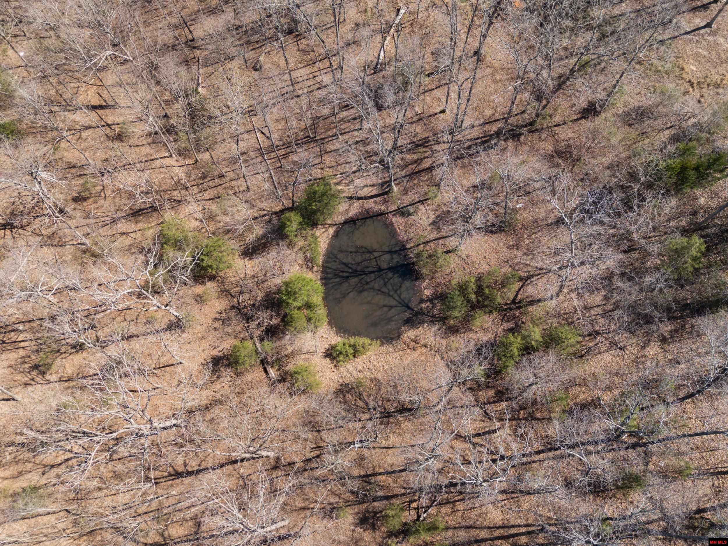 Lot 44 & 45 Hwy 62 East