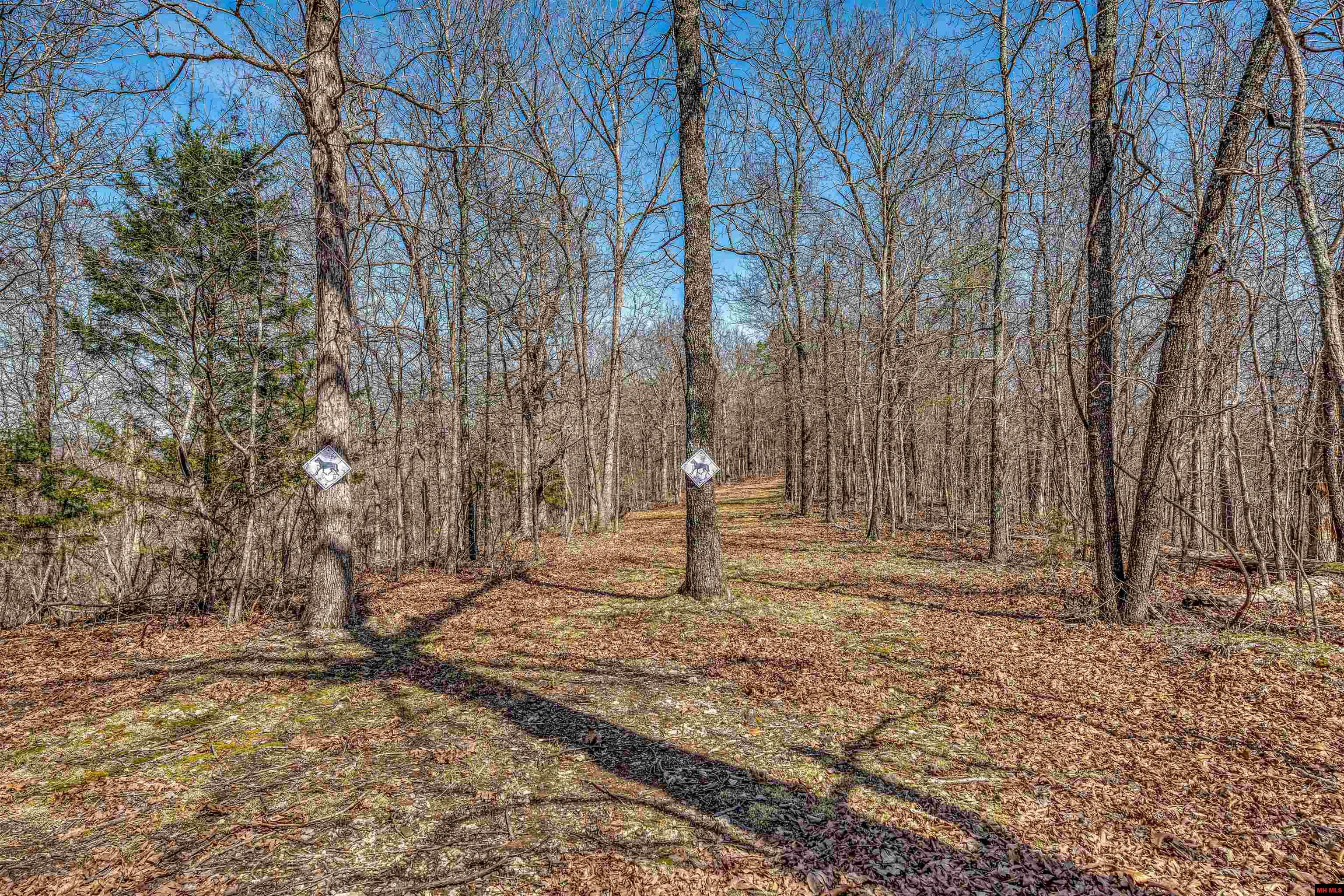 001-00063-001 Cozahome Road