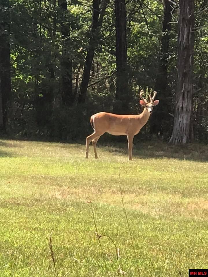 Lot 25 Blue Lake Drive