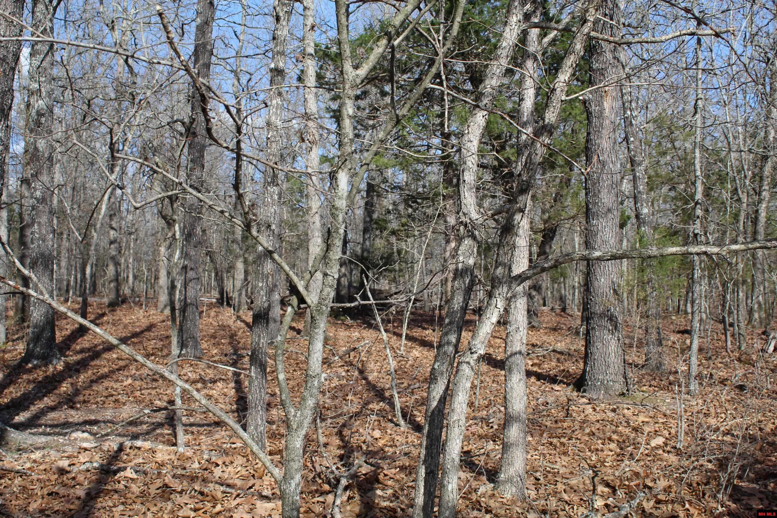 Lot 43 Lakeshore Road