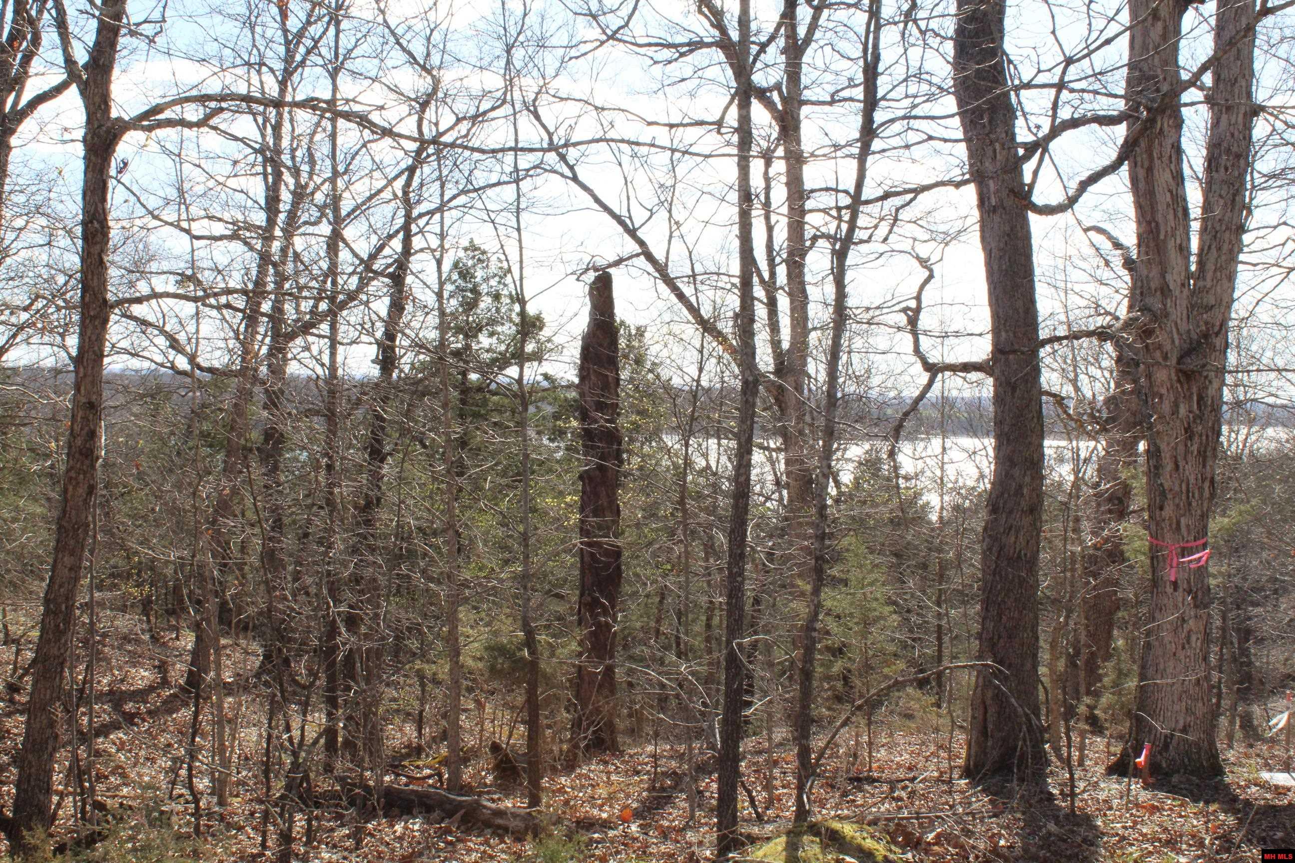 Lot 44 Lakeshore Road