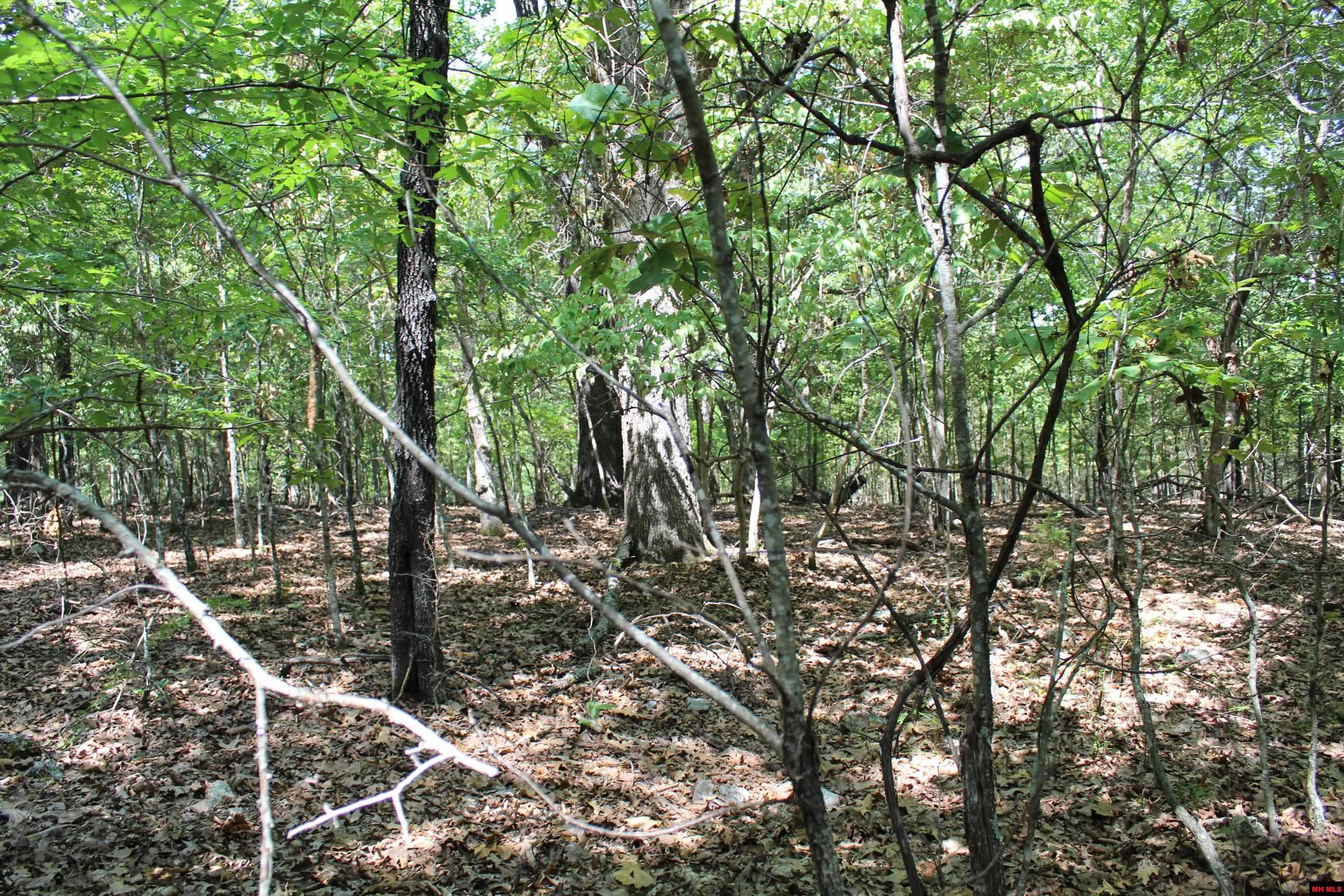 Lot 44 Lakeshore Road