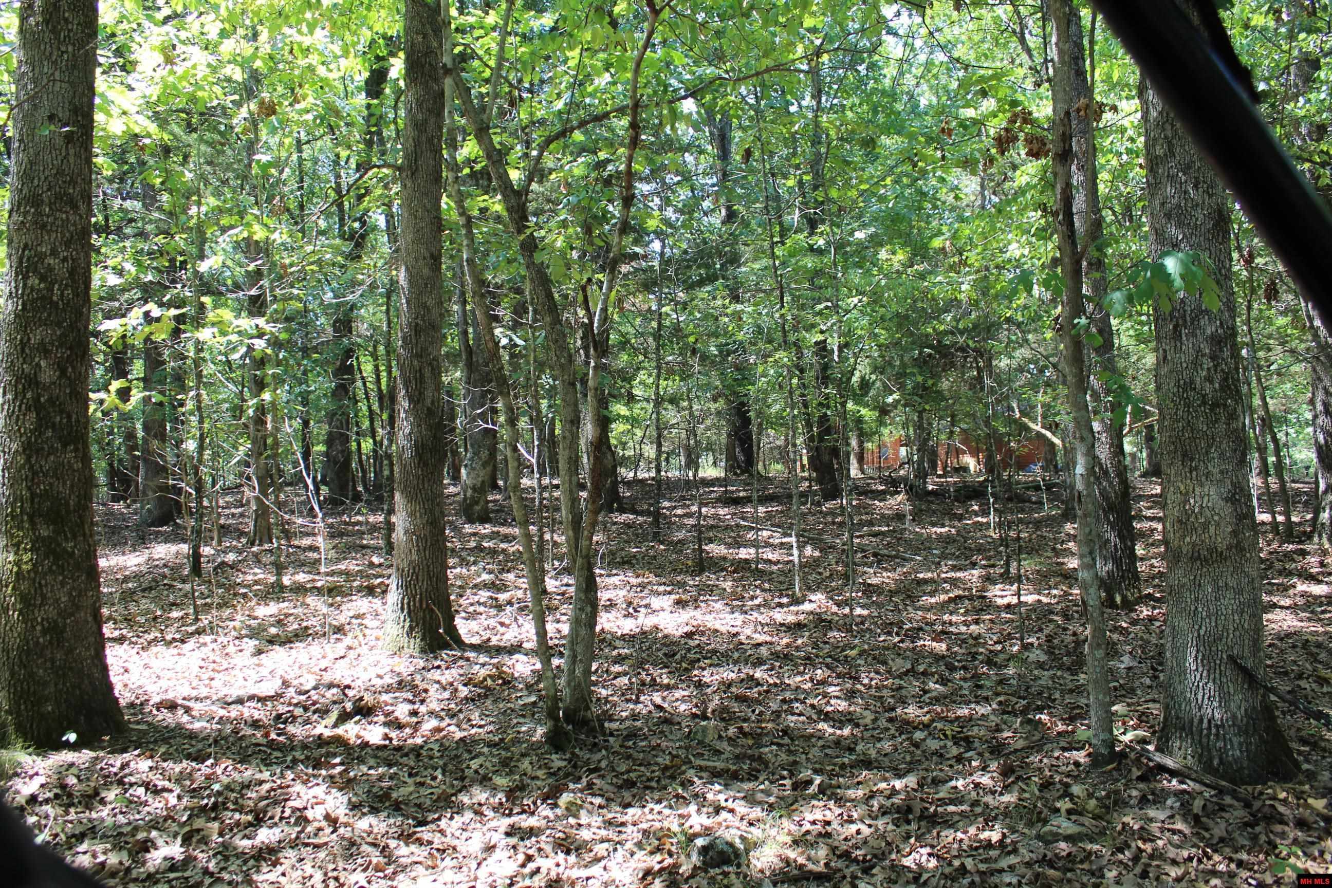 Lot 44 Lakeshore Road