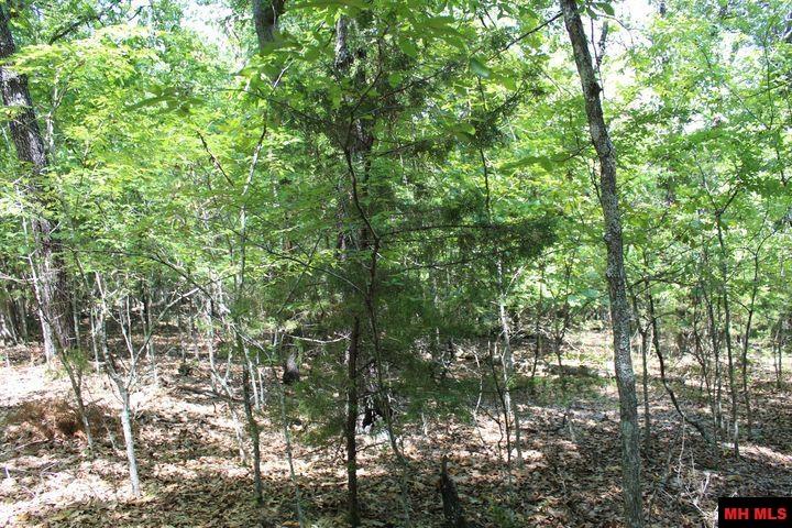 Lot 45 Lakeshore Road