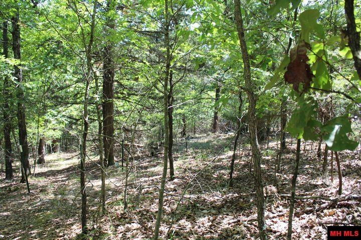 Lot 45 Lakeshore Road