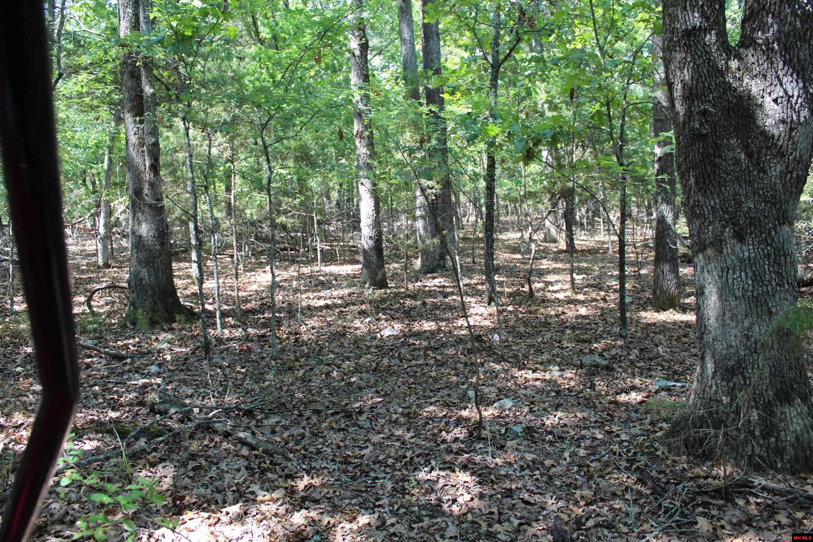 Lot 45 Lakeshore Road