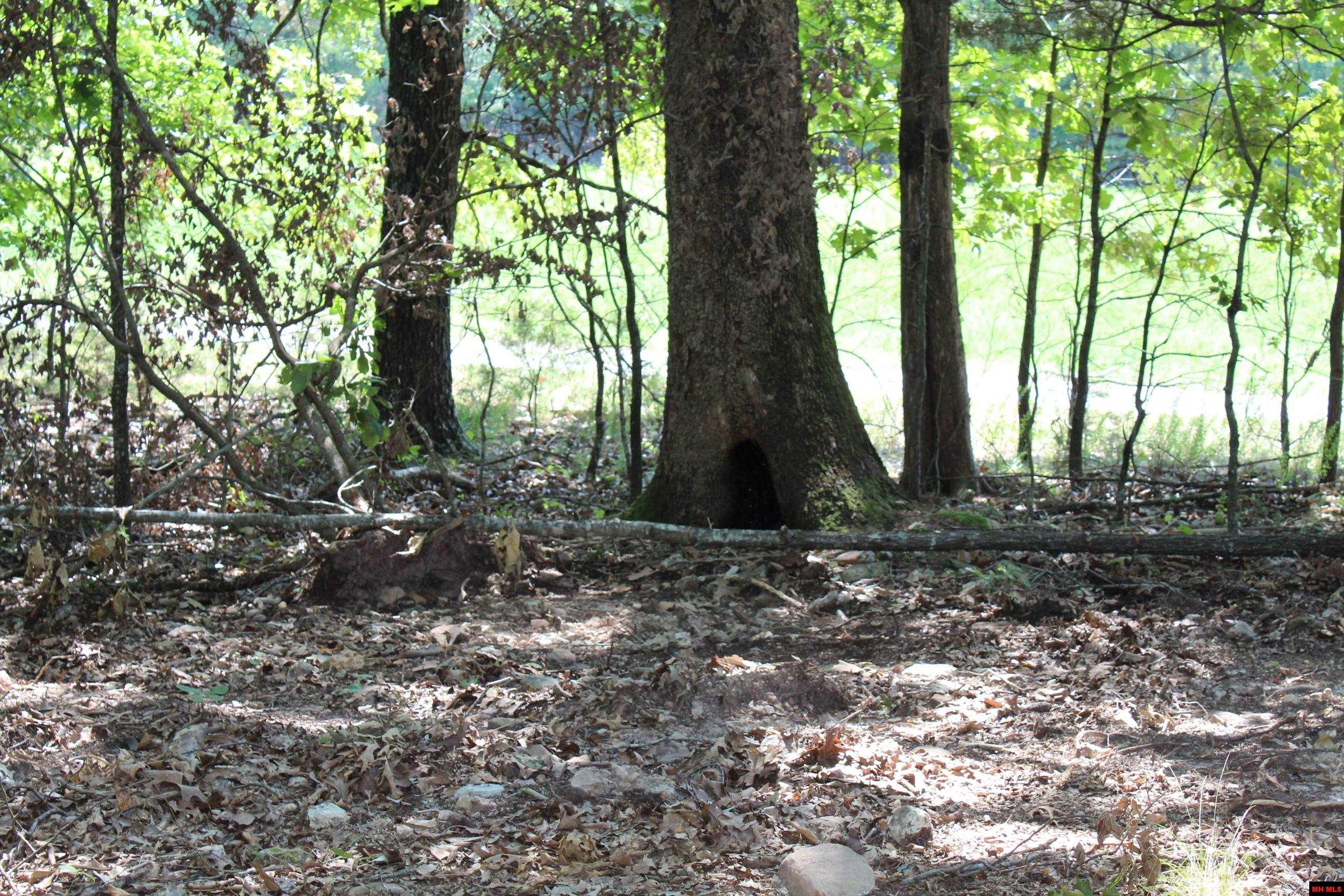 Lot 45 Lakeshore Road