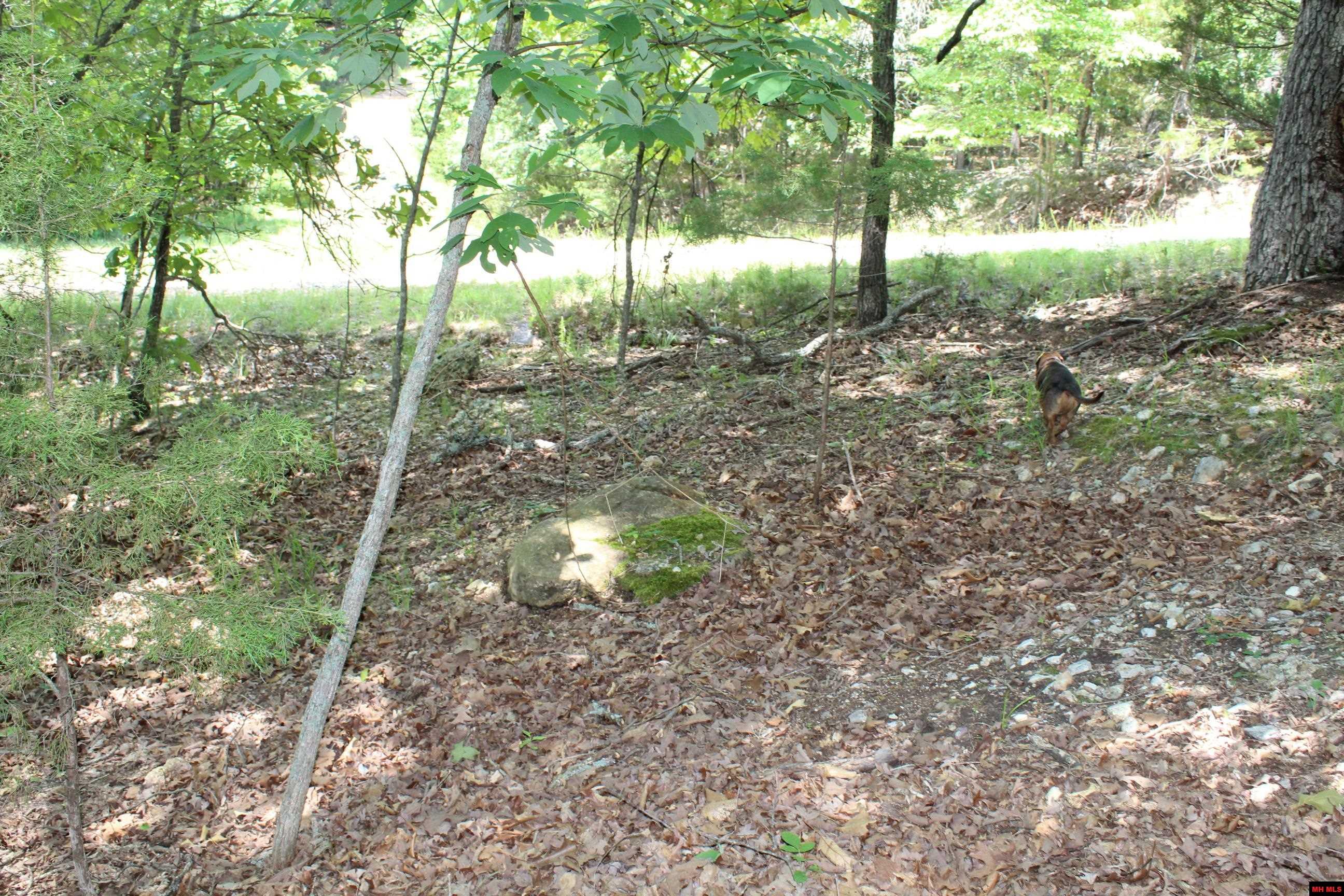 Lot 45 Lakeshore Road