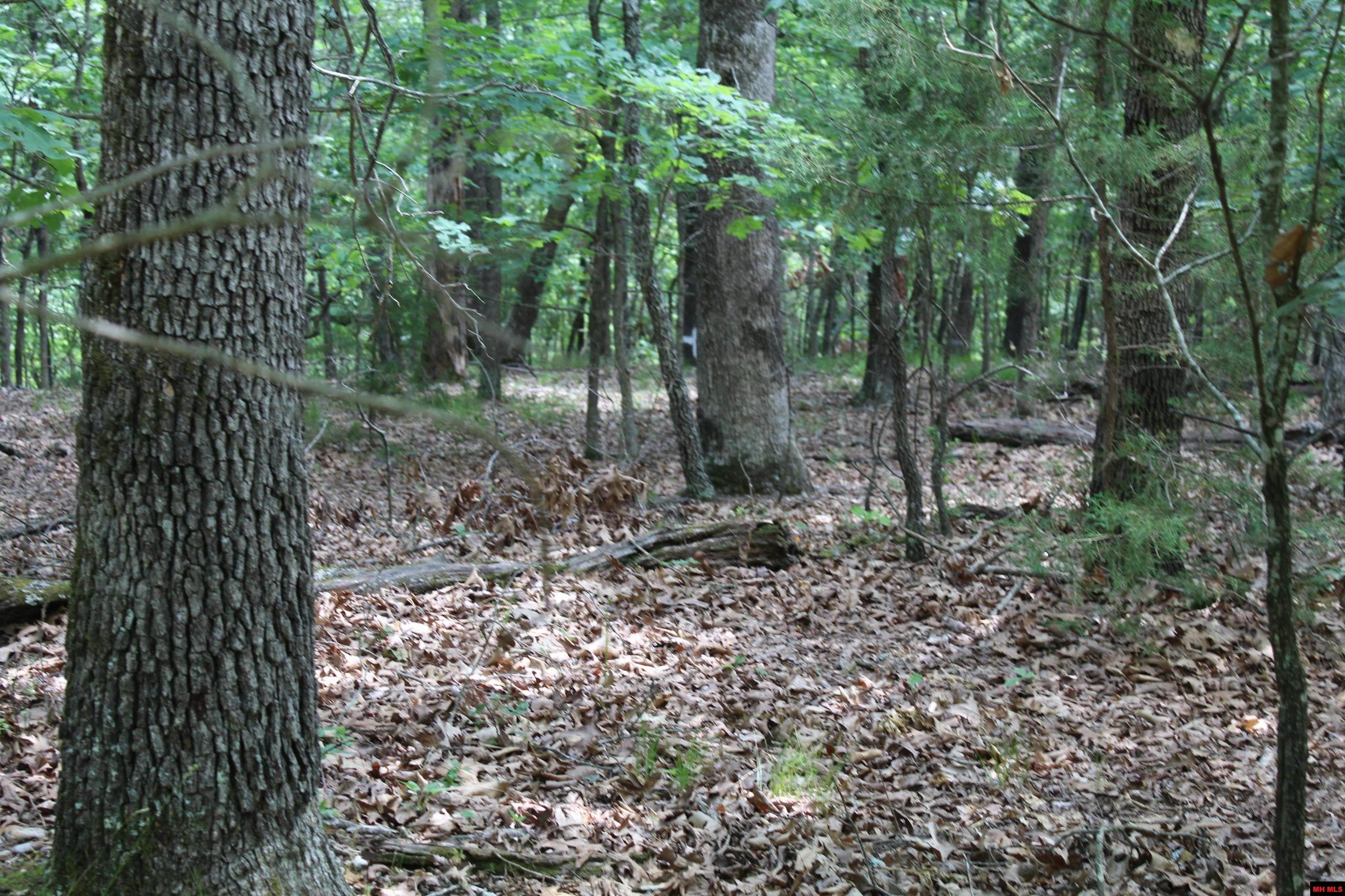 Lot 46 Airline Drive