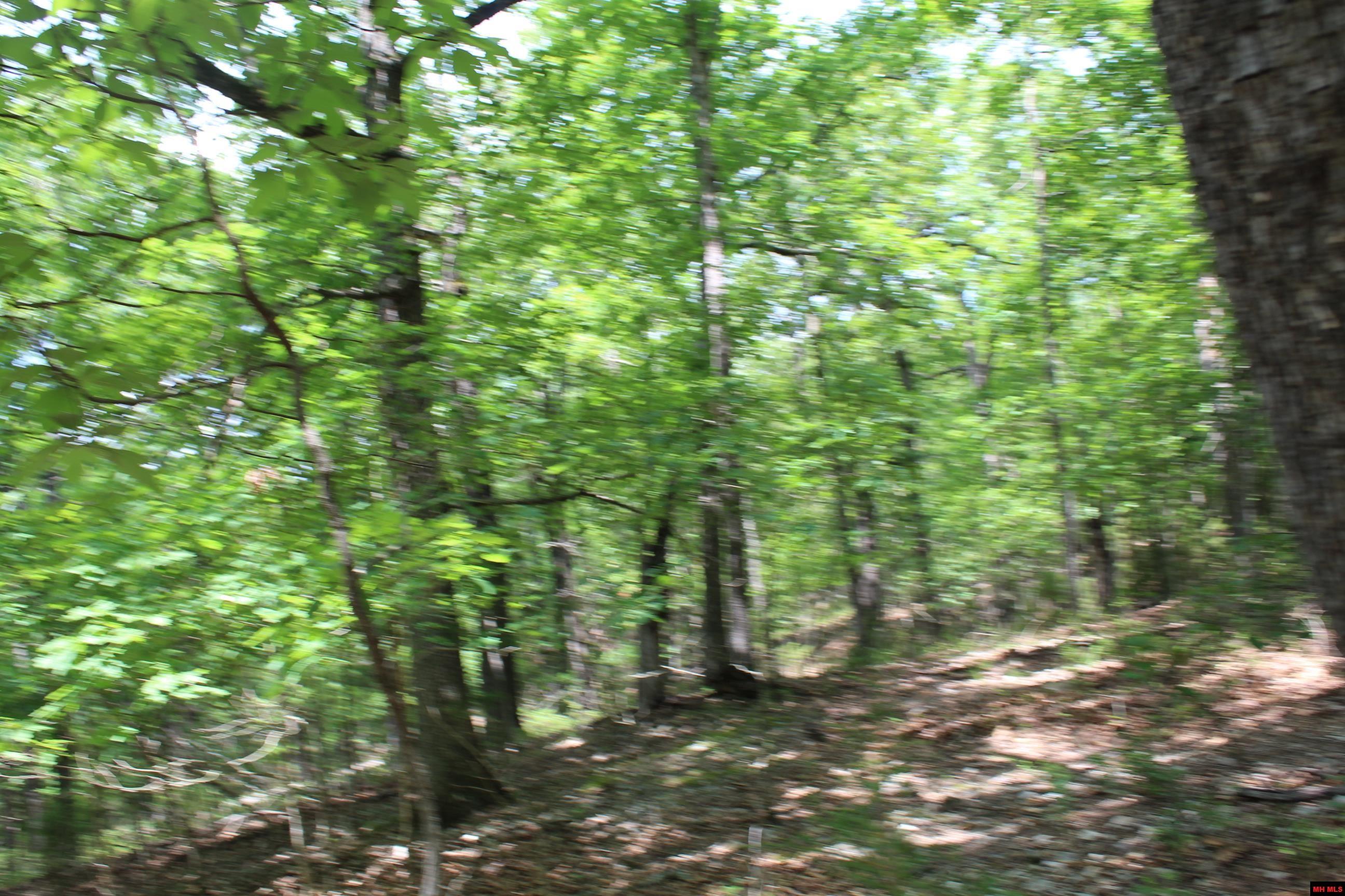 Lot 46 Airline Drive