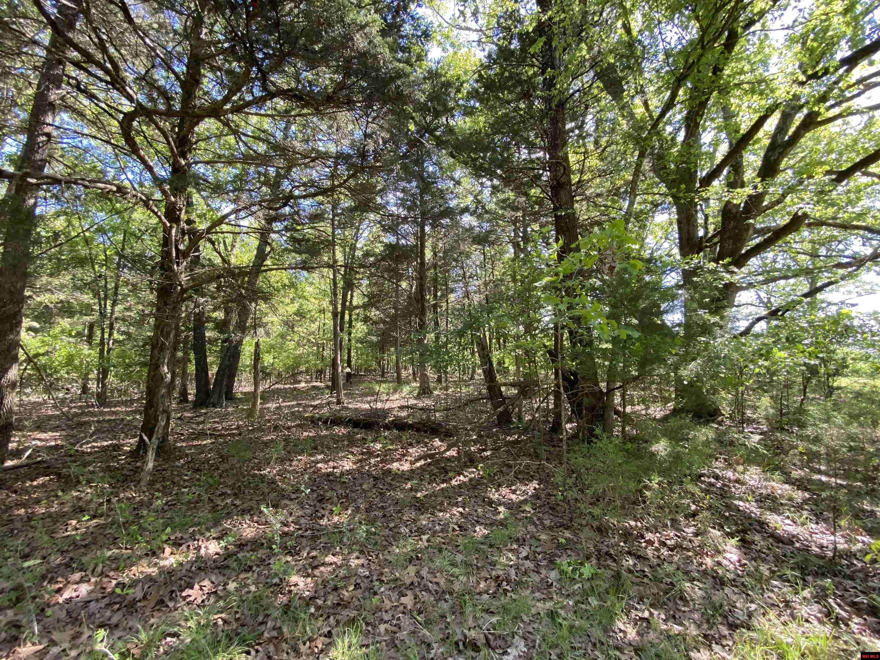 Lot 46 Airline Drive