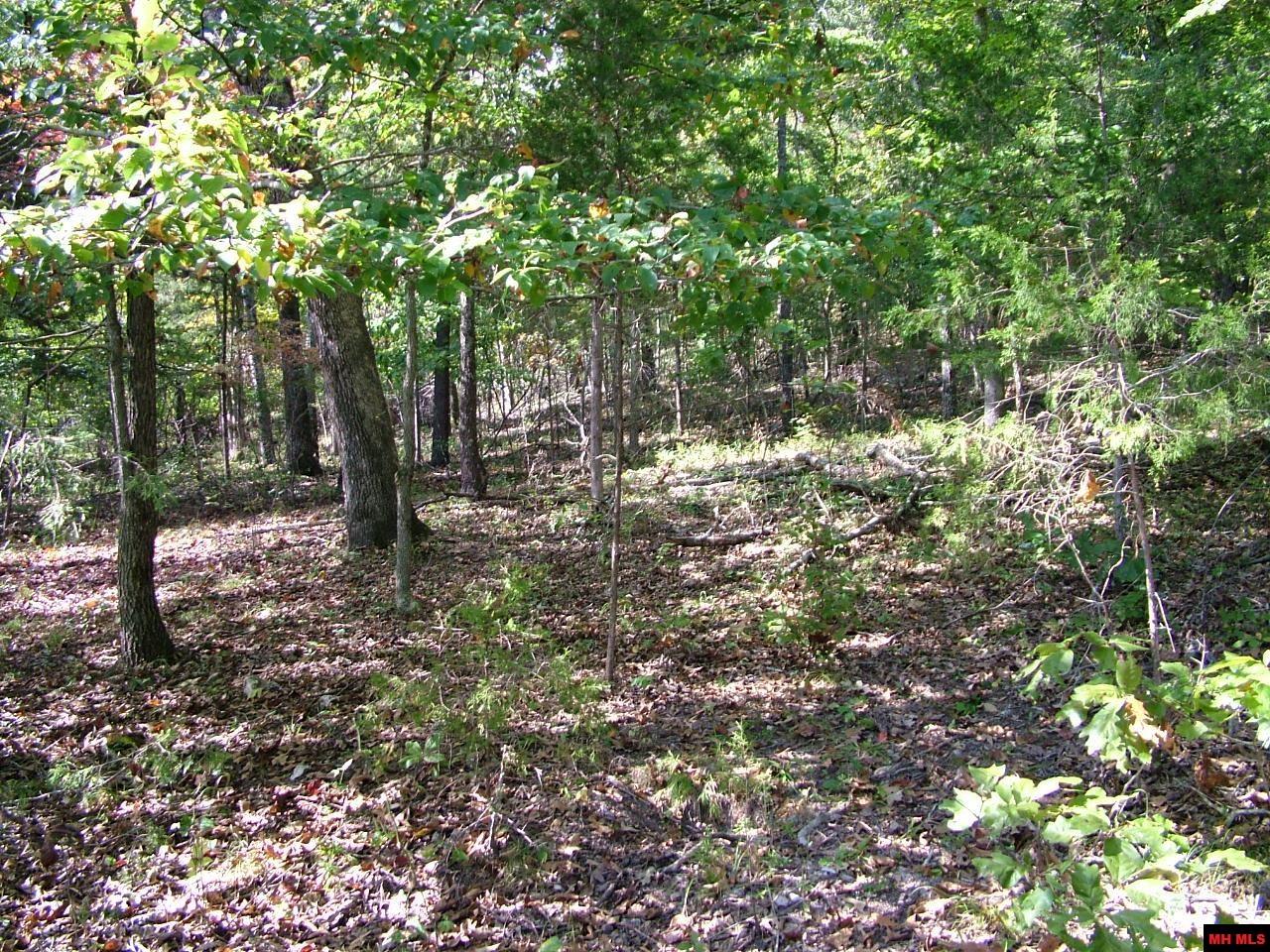 001-00225-001 Mc 6062