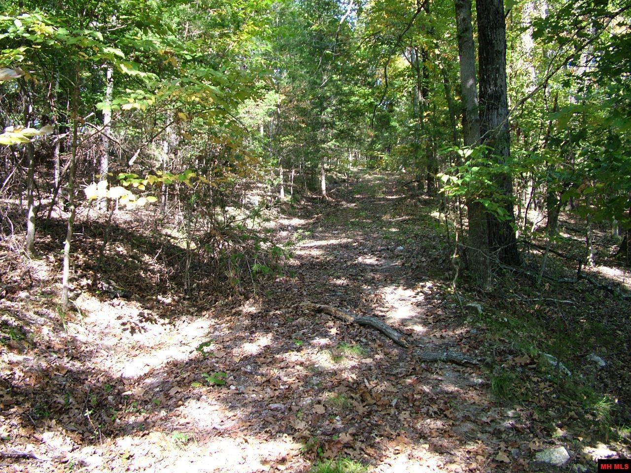 001-00225-001 Mc 6062