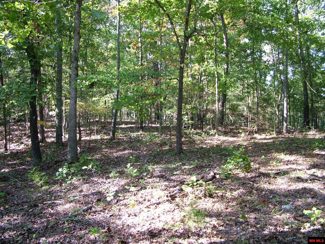 001-00225-001 Mc 6062