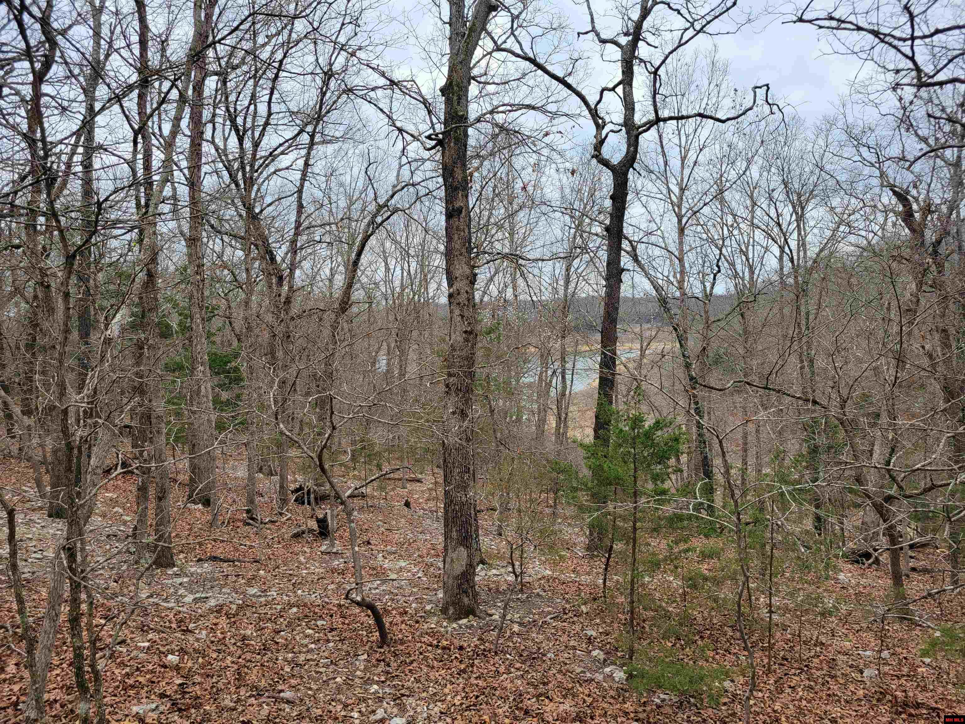 20-0.3-08-000-0 Lost Mine Road