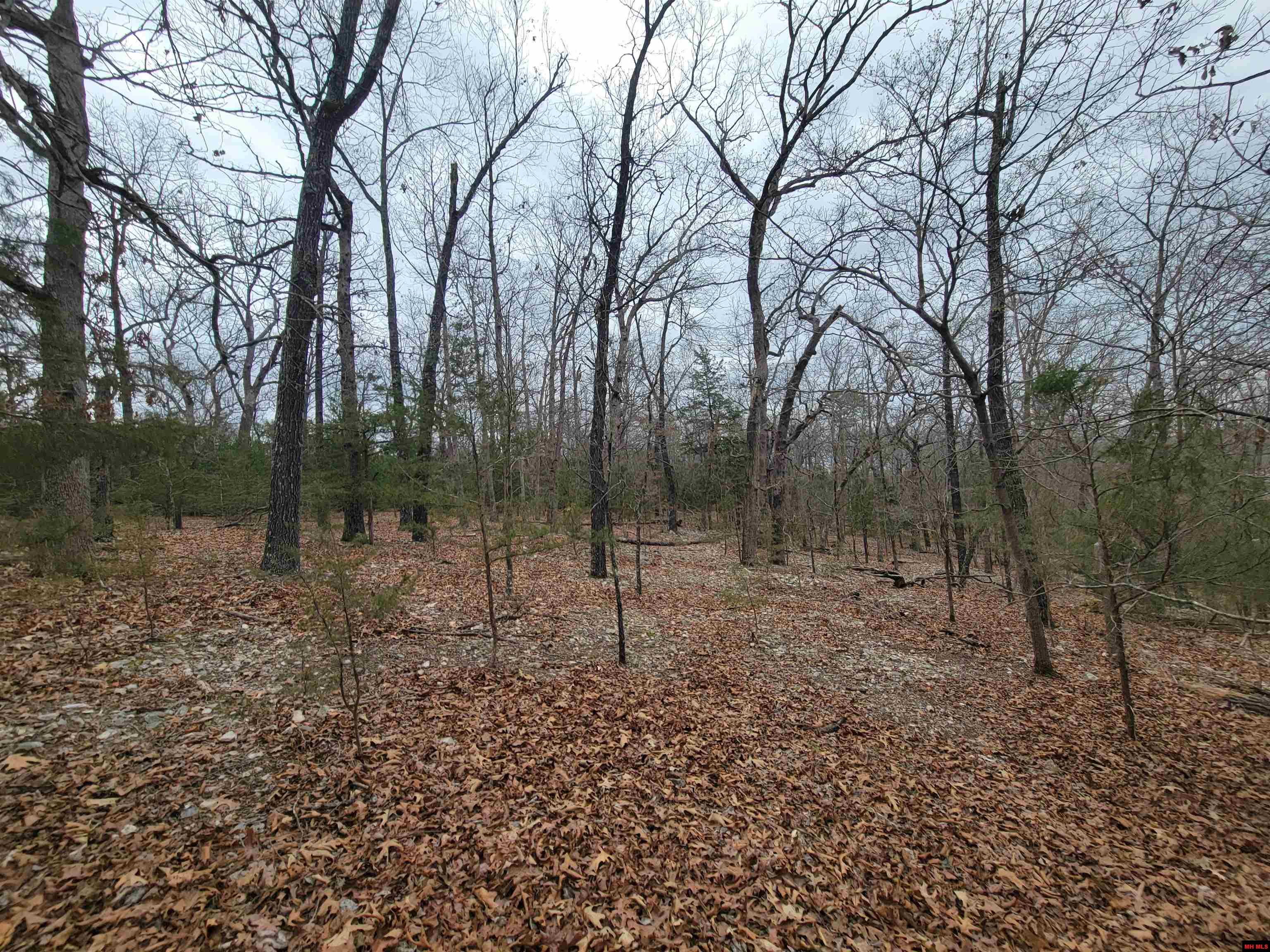 20-0.3-08-000-0 Lost Mine Road