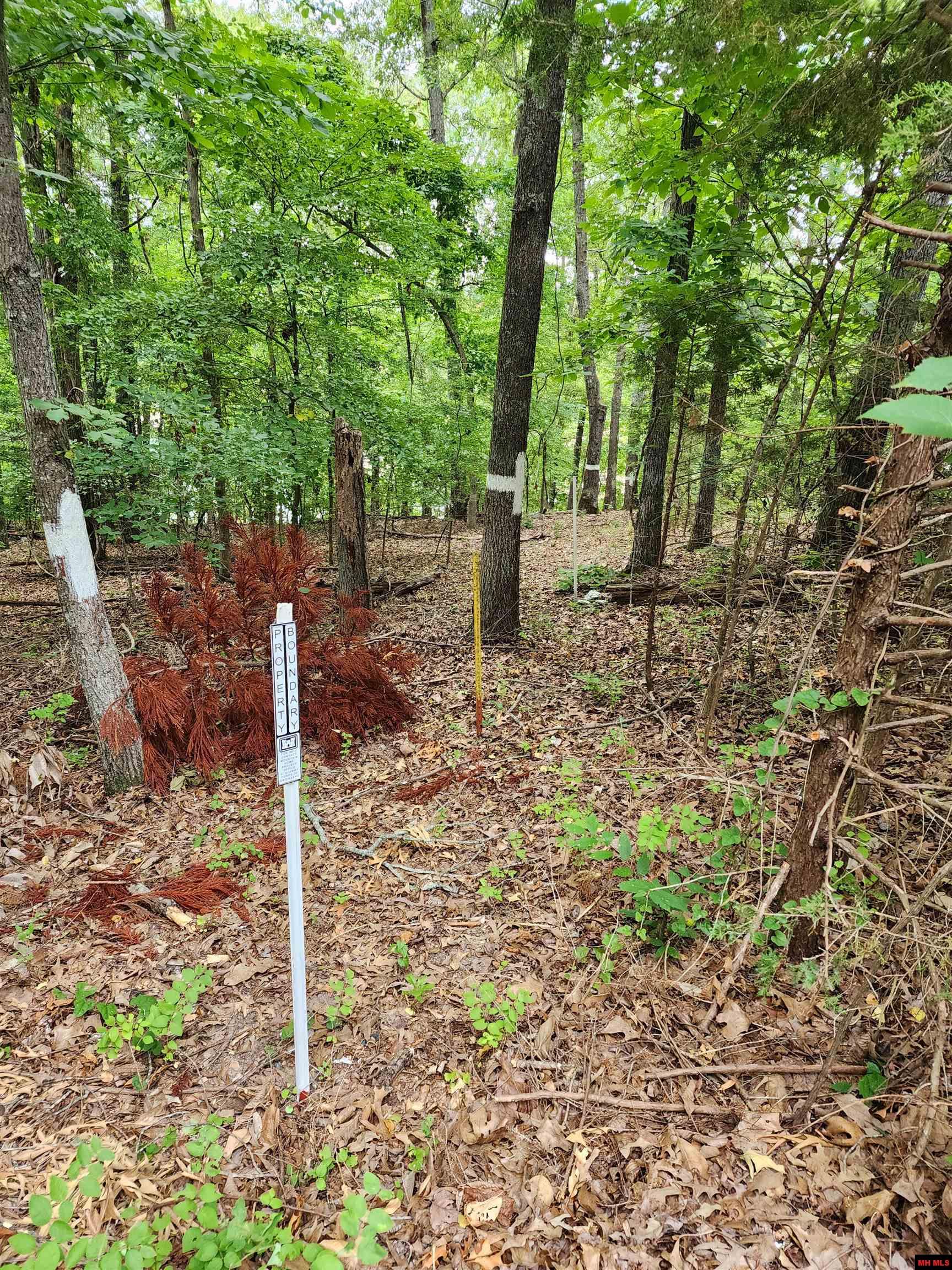 Lot 1 Lake Point Drive