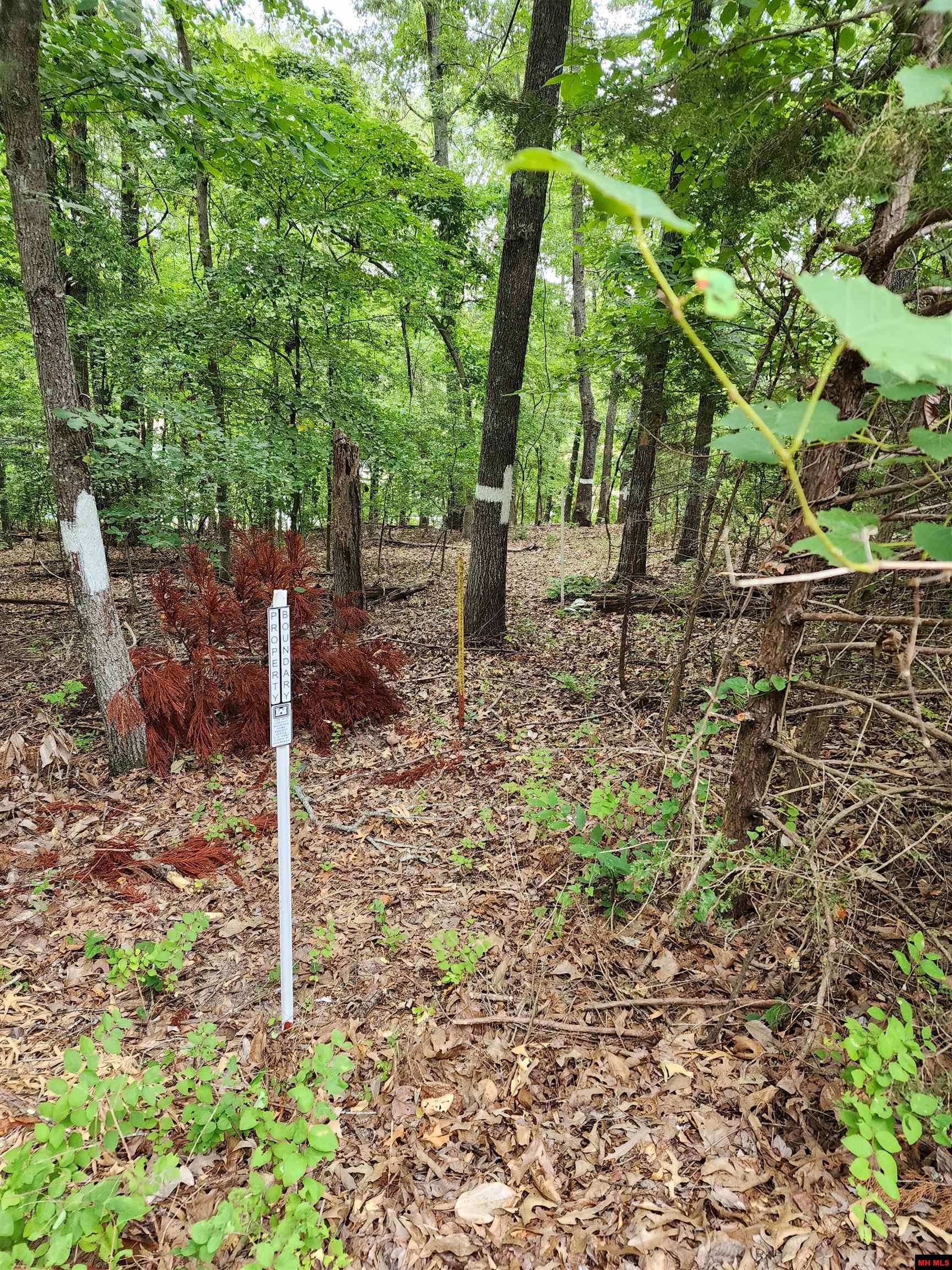 Lot 1 Lake Point Drive