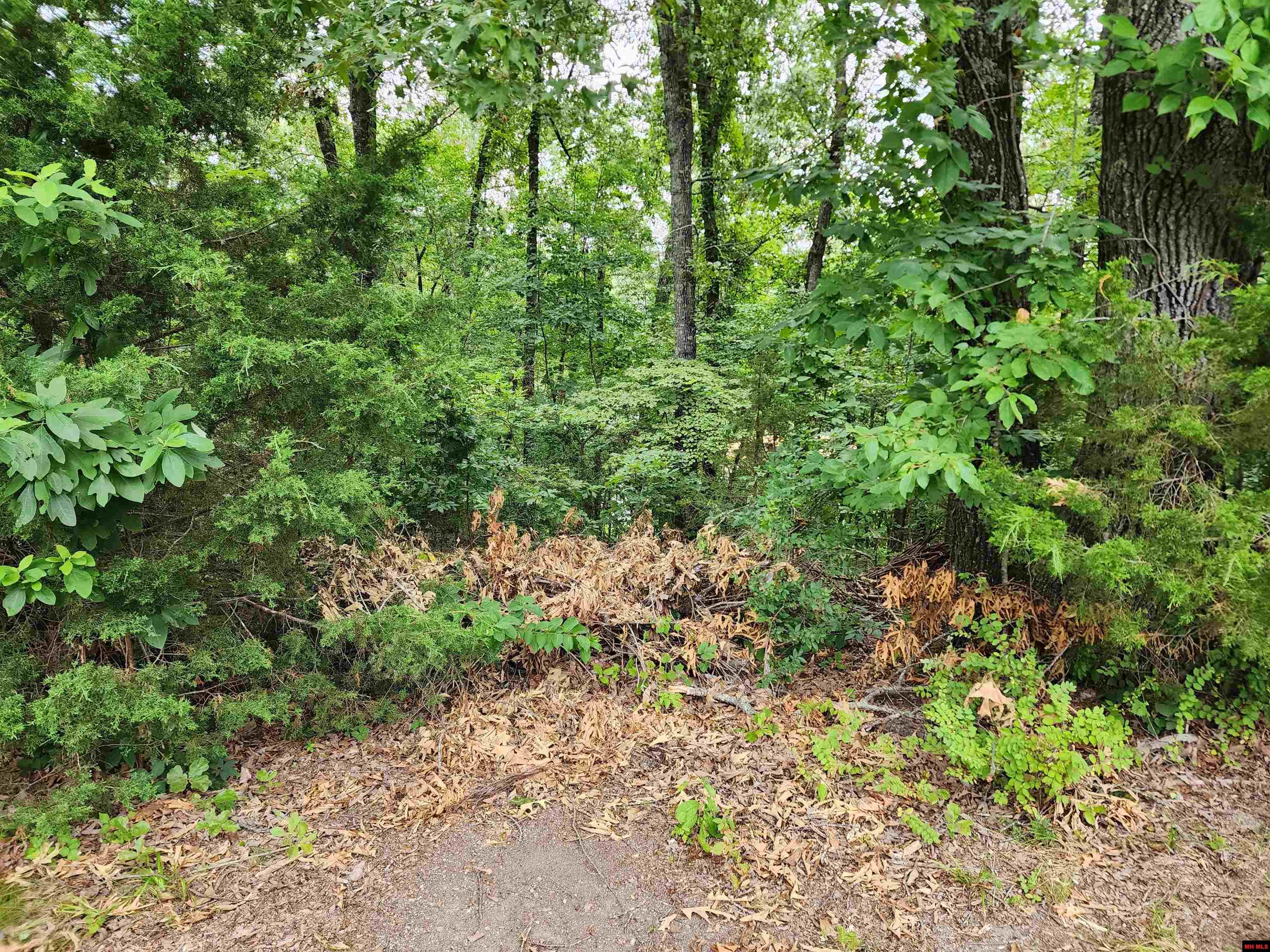 Lot 1 Lake Point Drive