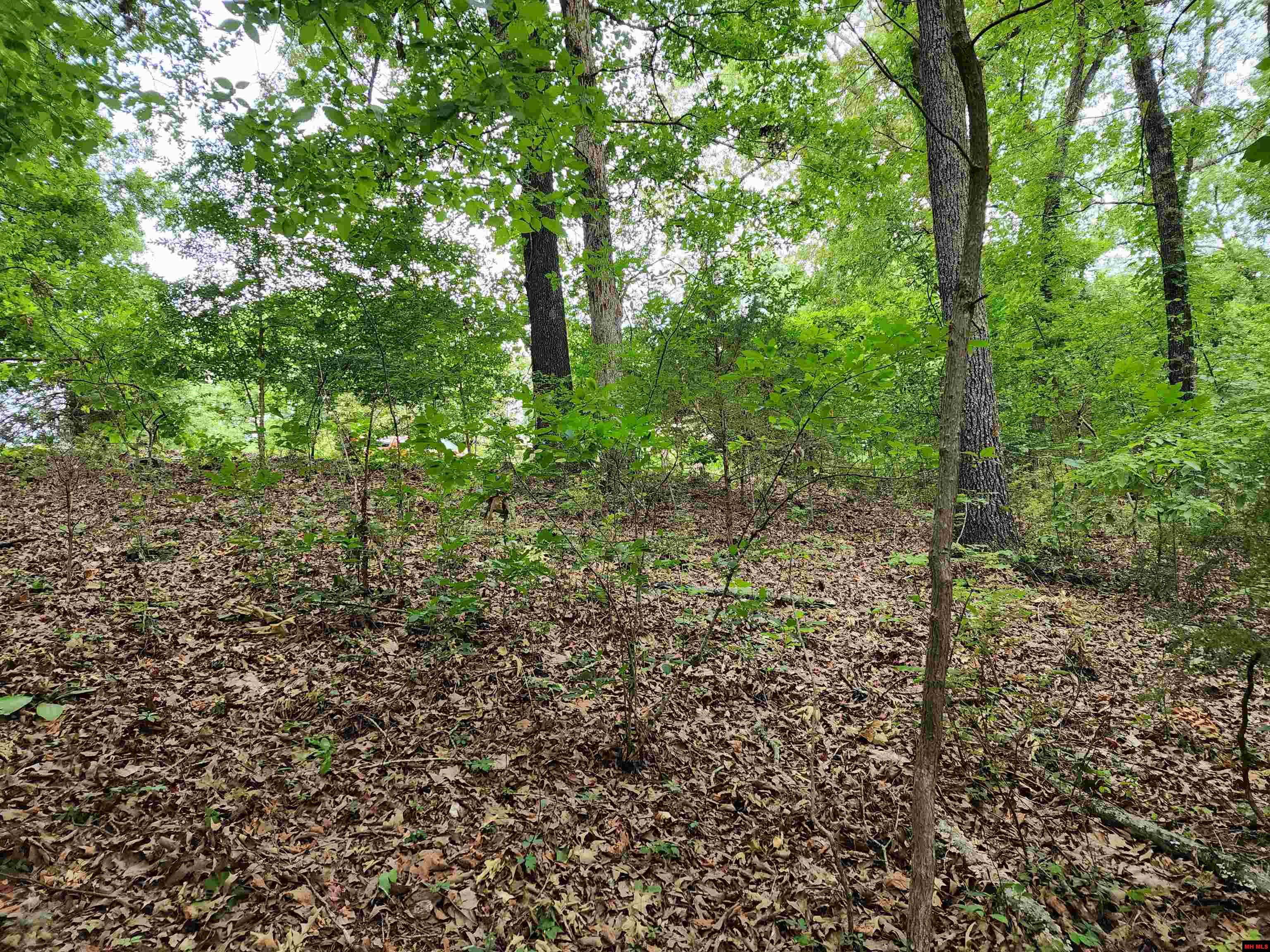 Lot 1 Lake Point Drive