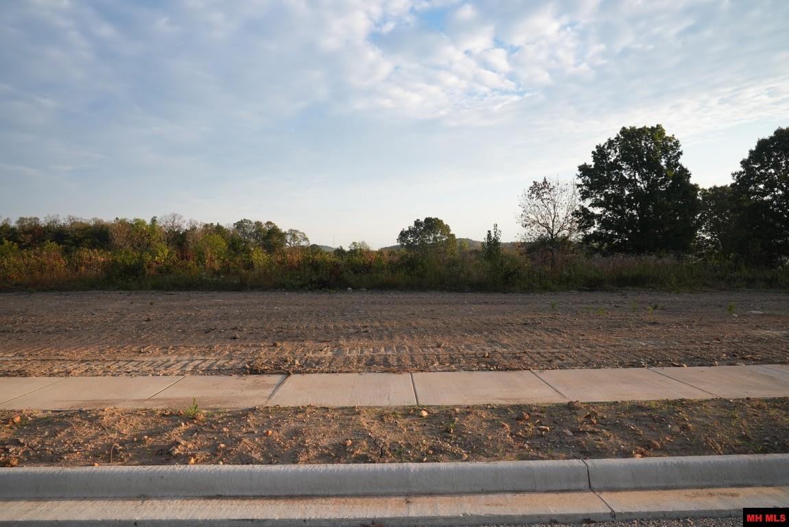 Lot 159 S Sheeks Drive