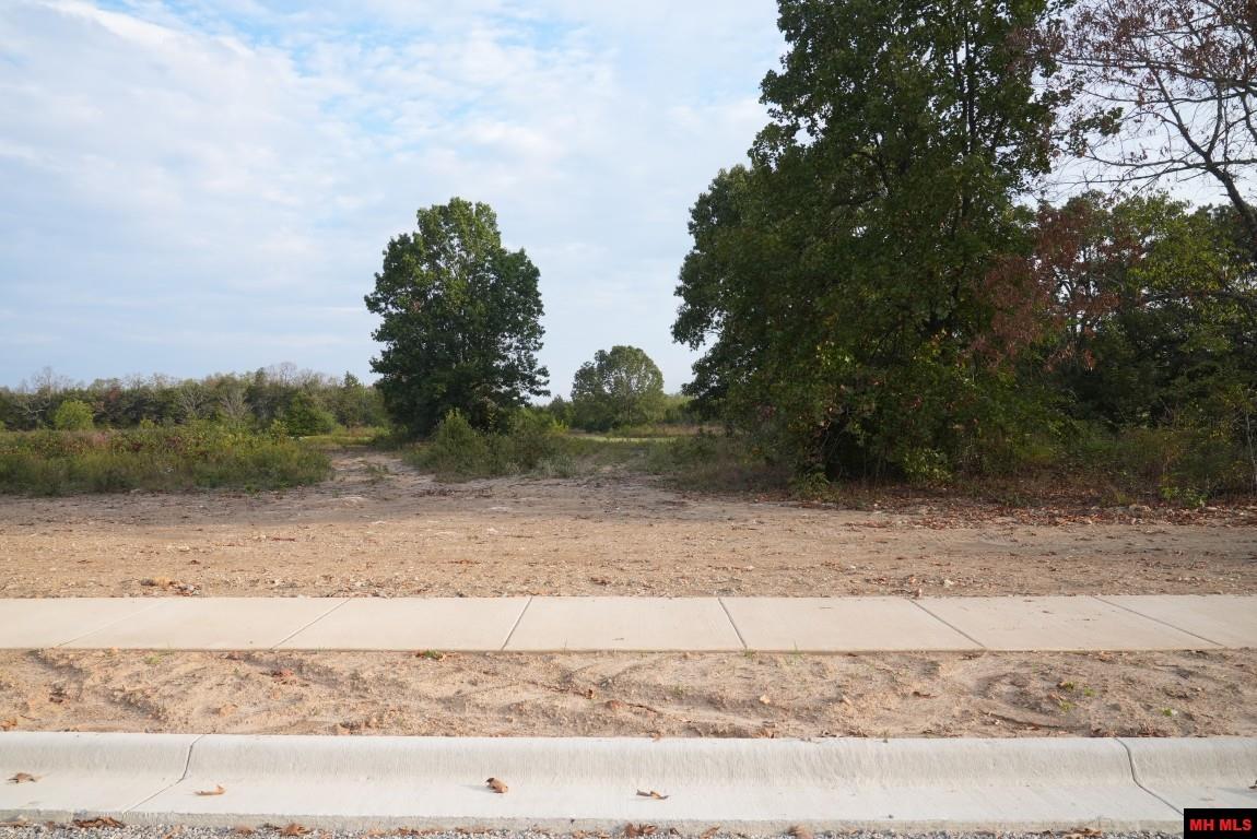 Lot 160 S Sheeks Drive