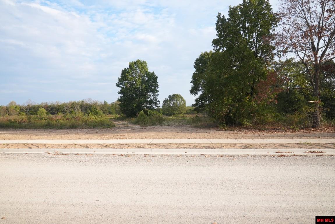 Lot 160 S Sheeks Drive