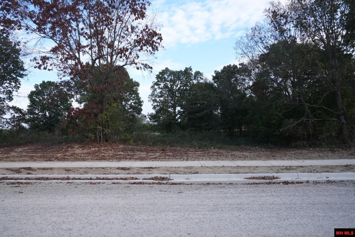 Lot 161 S Sheeks Drive