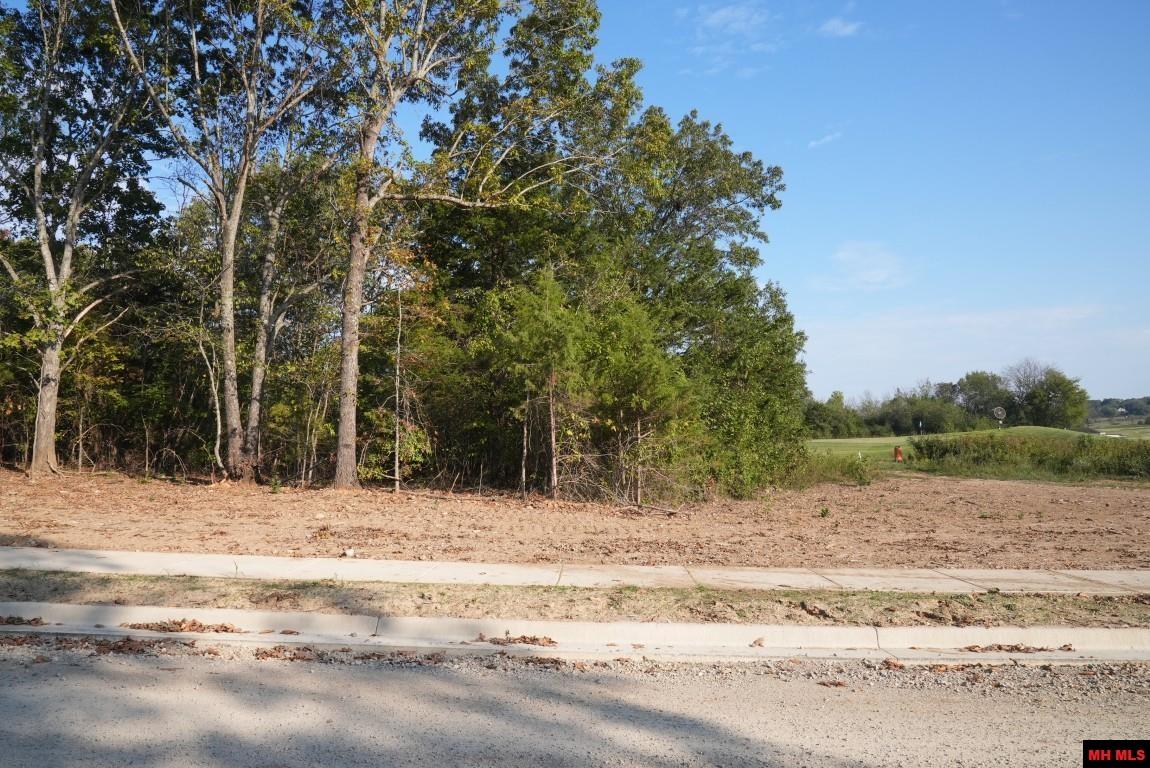 Lot 162 S Sheeks Drive