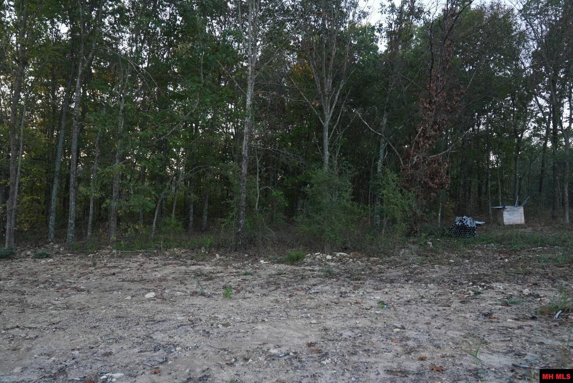 Lot 164 S Sheeks Drive