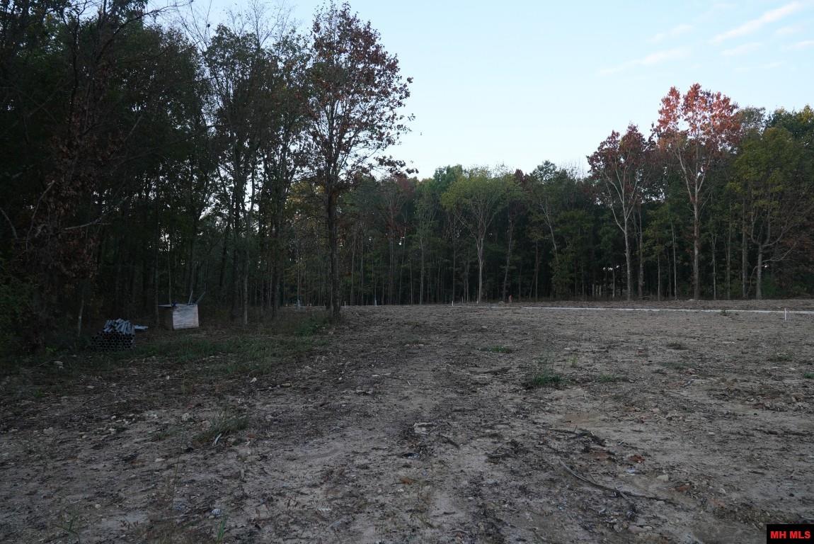 Lot 164 S Sheeks Drive