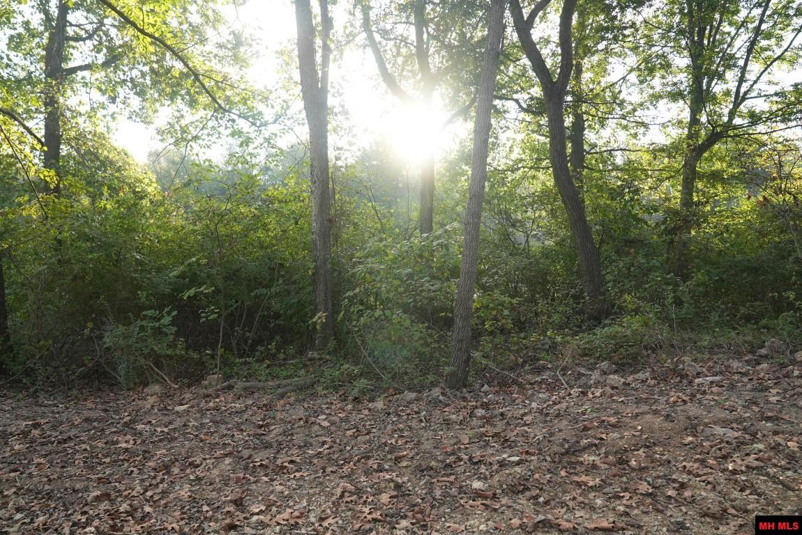 Lot 165 Muirfield Court