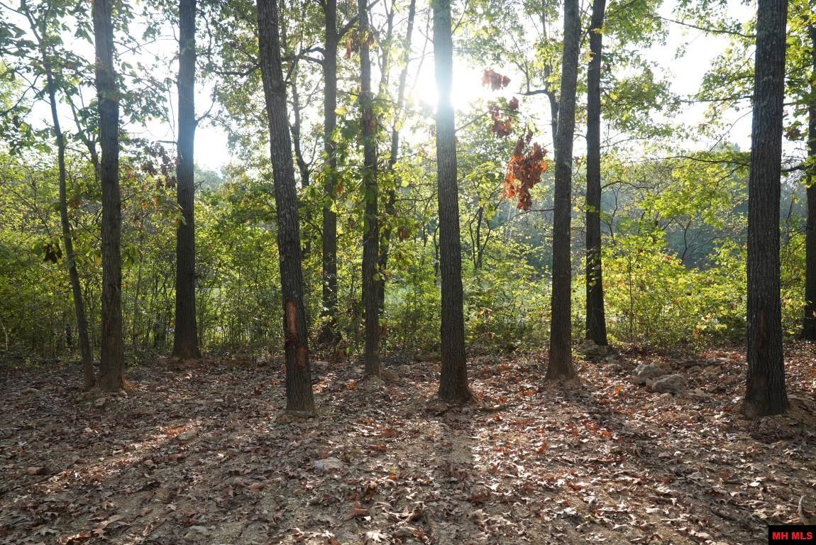 Lot 166 Muirfield Court