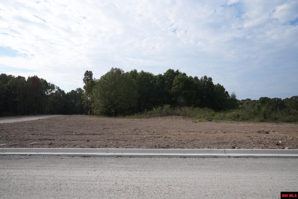 Lot 173 S Sheeks Drive