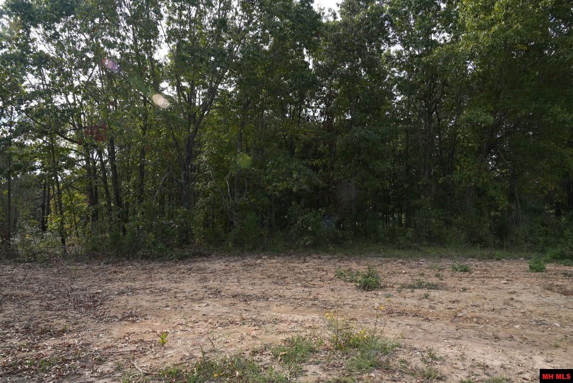 Lot 173 S Sheeks Drive