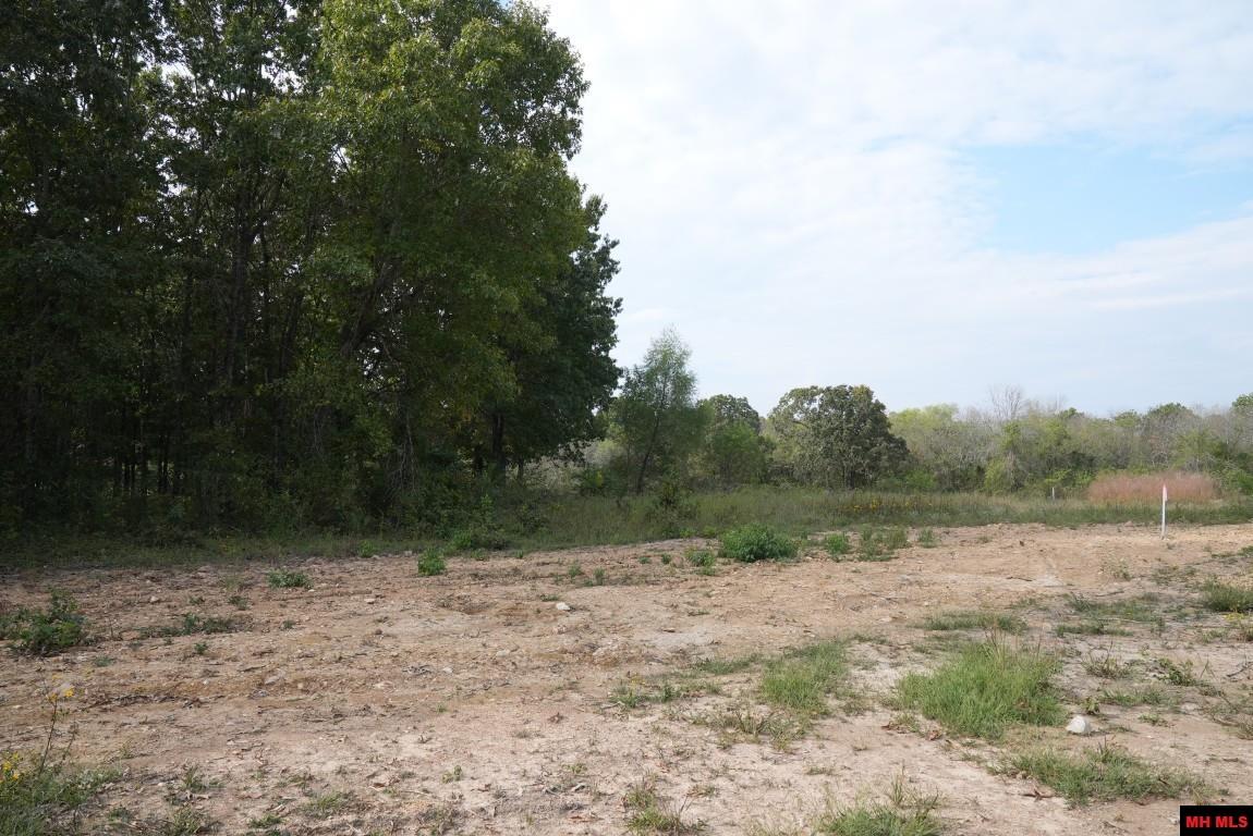 Lot 173 S Sheeks Drive