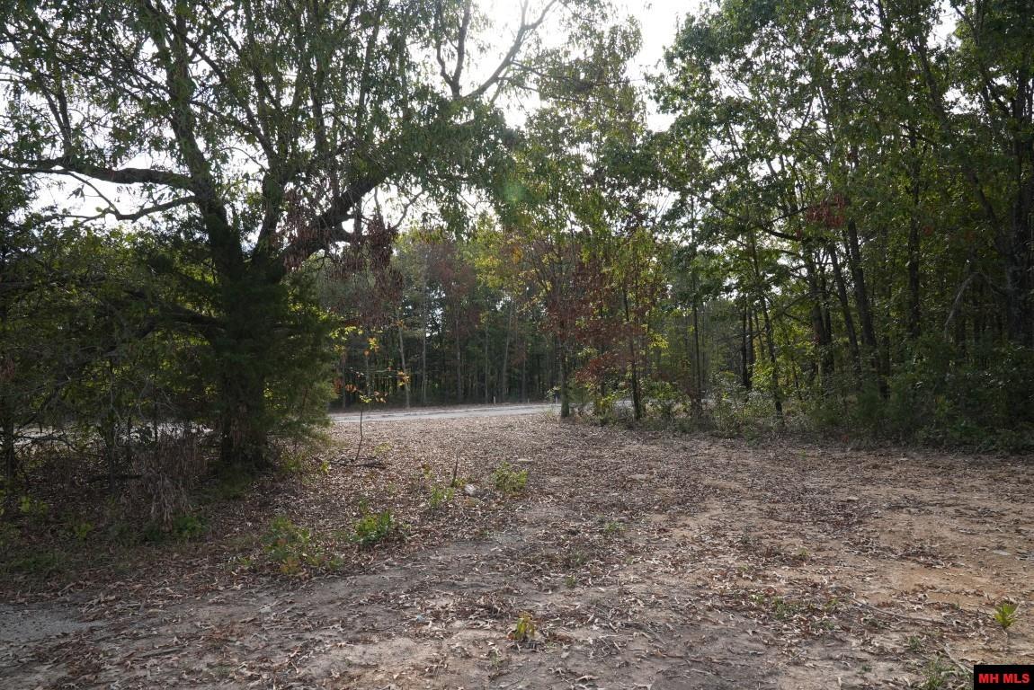 Lot 173 S Sheeks Drive