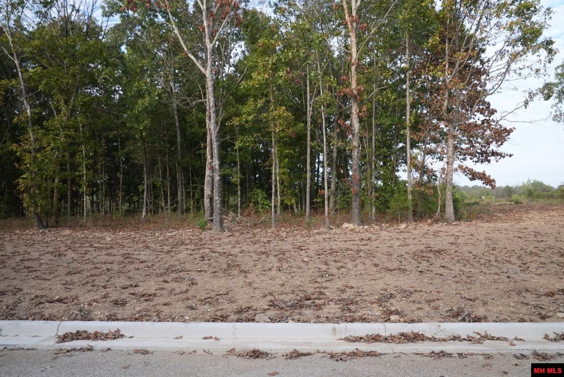 Lot 172 Muirfield Court