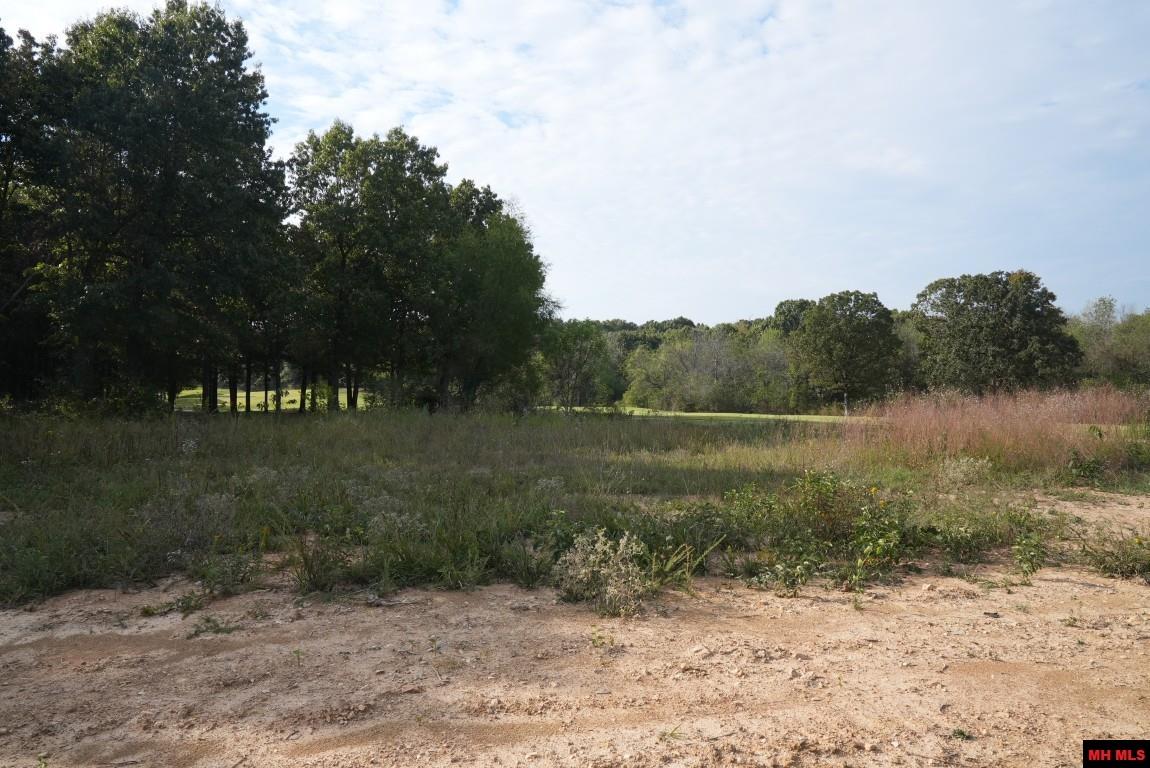 Lot 174 S Sheeks Drive