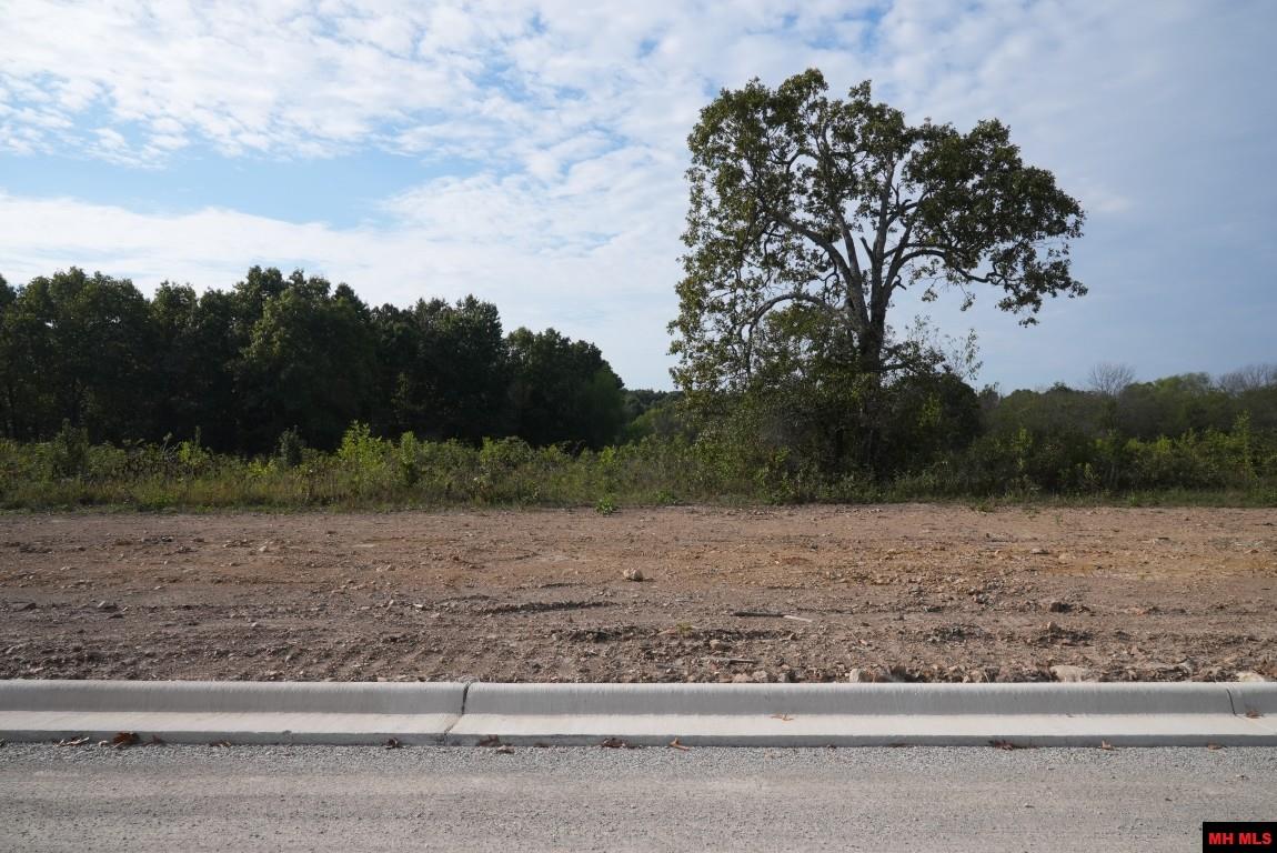 Lot 174 S Sheeks Drive