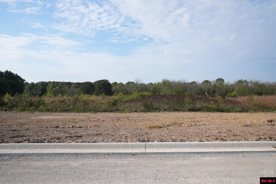 Lot 175 S Sheeks Drive