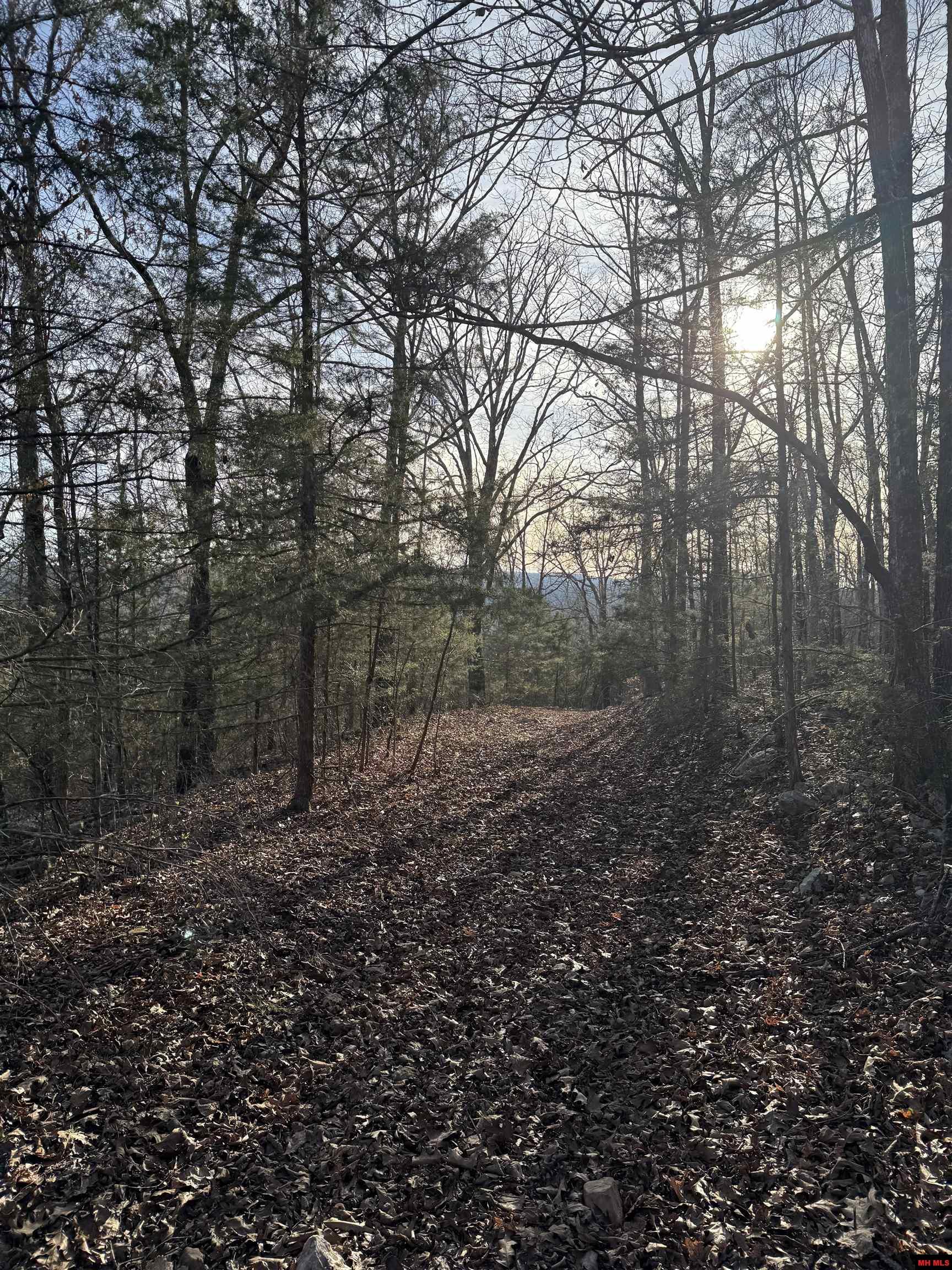 001-01287-002 Rainbow Lane